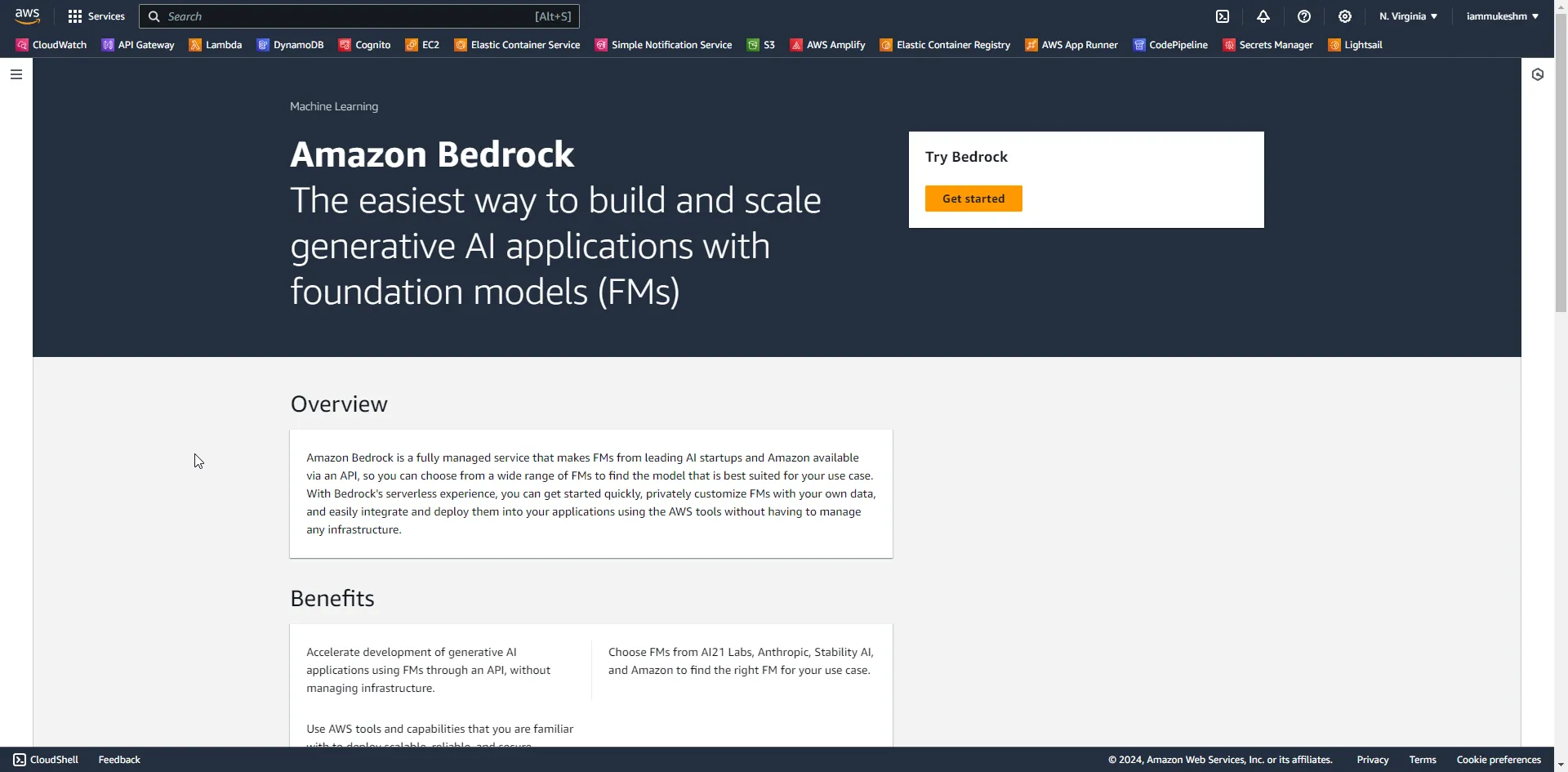 generative-ai-in-dotnet-with-amazon-bedrock generative-ai-in-dotnet-with-amazon-bedrock