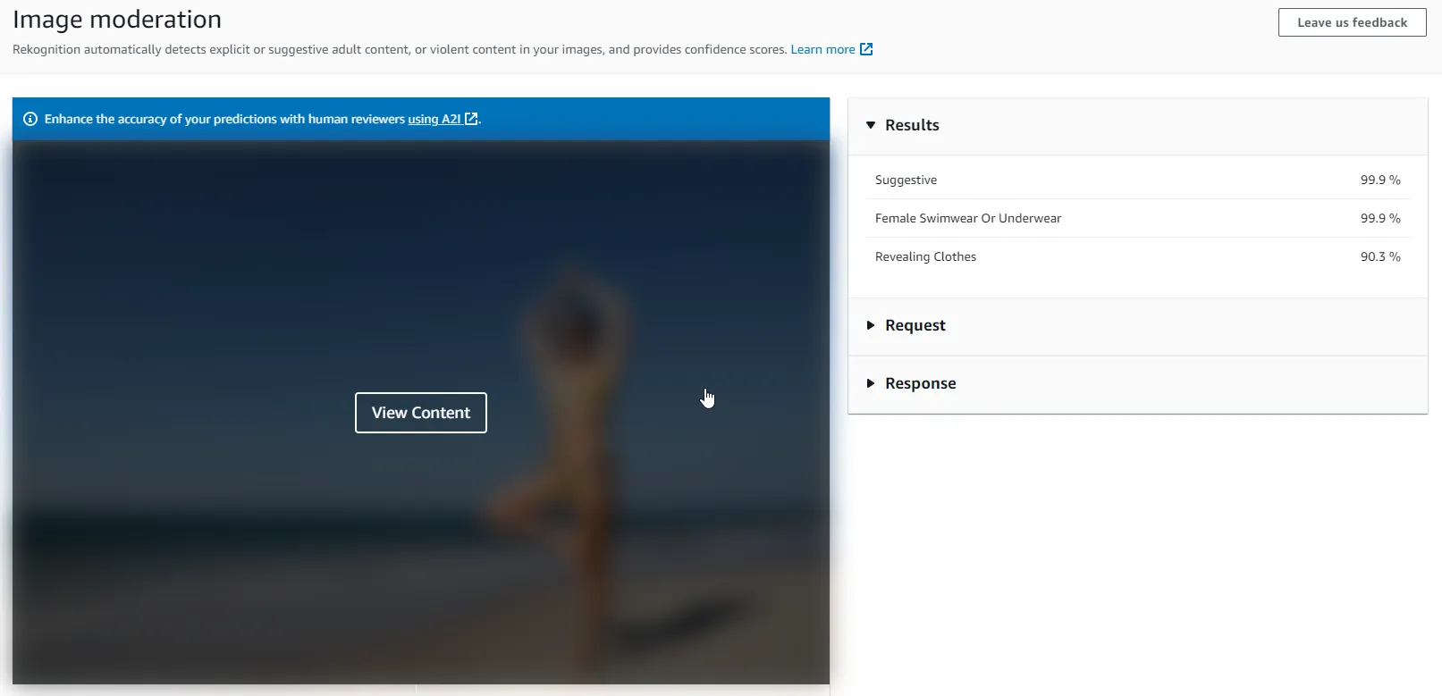 image-recognition-in-dotnet-with-amazon-rekognition