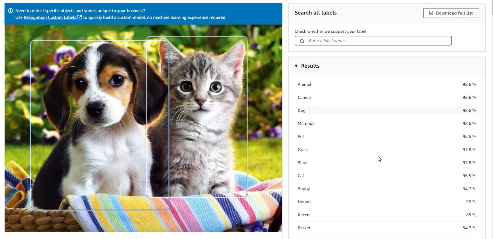image-recognition-in-dotnet-with-amazon-rekognition