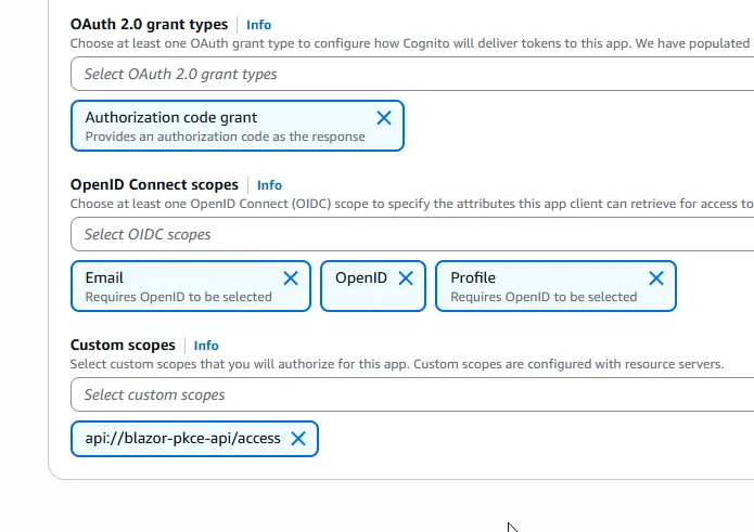 Attach custom API scope to app client