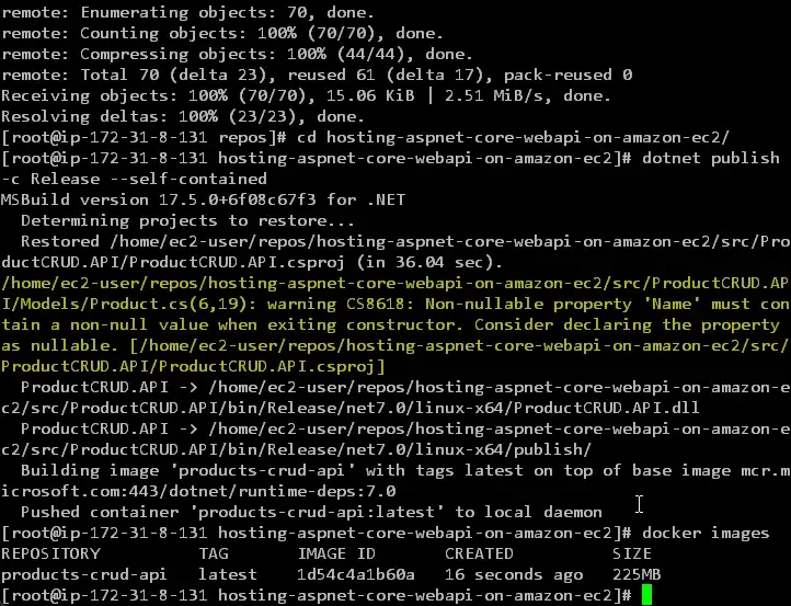 hosting-aspnet-core-webapi-on-amazon-ec2