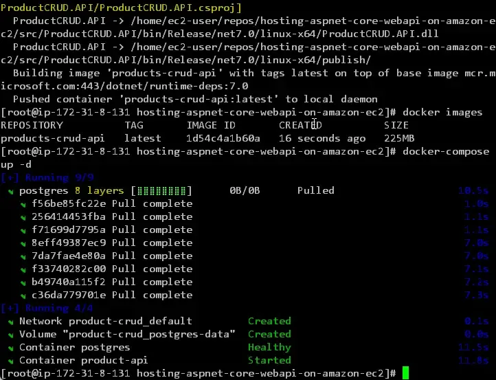 hosting-aspnet-core-webapi-on-amazon-ec2 hosting-aspnet-core-webapi-on-amazon-ec2
