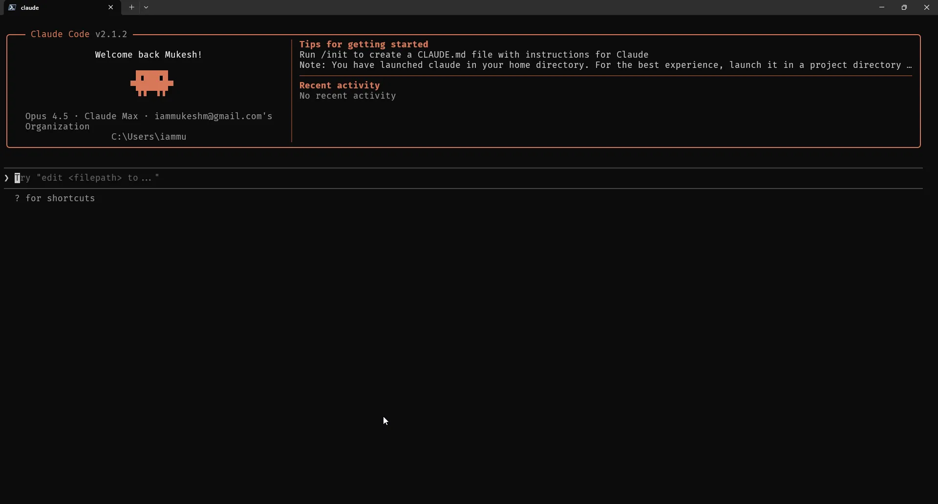 Claude Code running inside terminal with command prompt ready for input